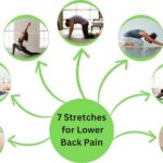 7 Stretches for lower back pain